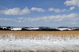 IMG_1789 Kopie